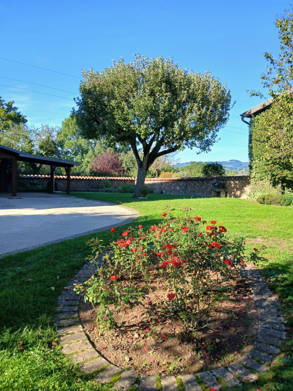 Photo Maison Brionnais - Annonce réf 1286