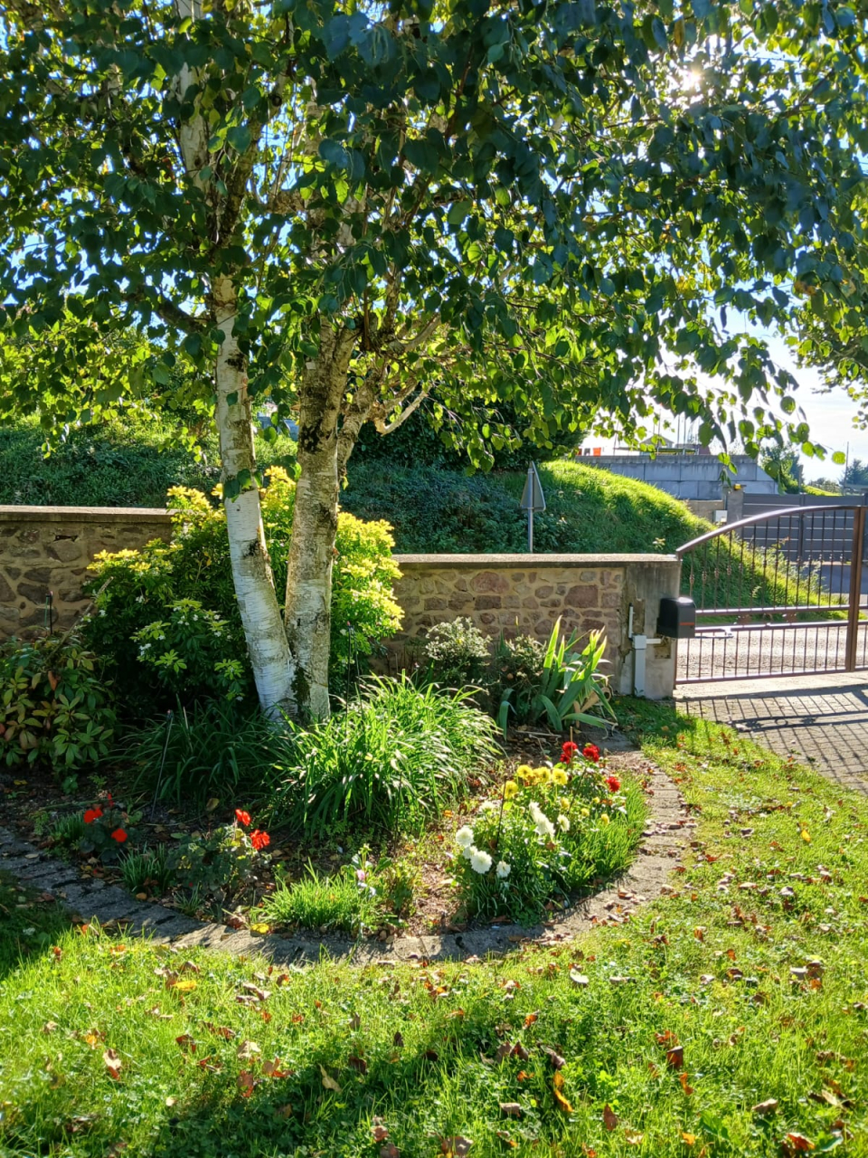 Photo Maison Brionnais - Annonce réf 1286