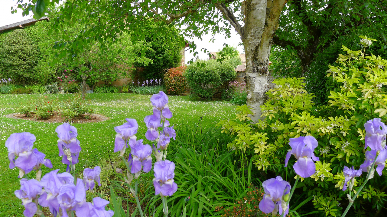 Photo Maison Brionnais - Annonce réf 1286