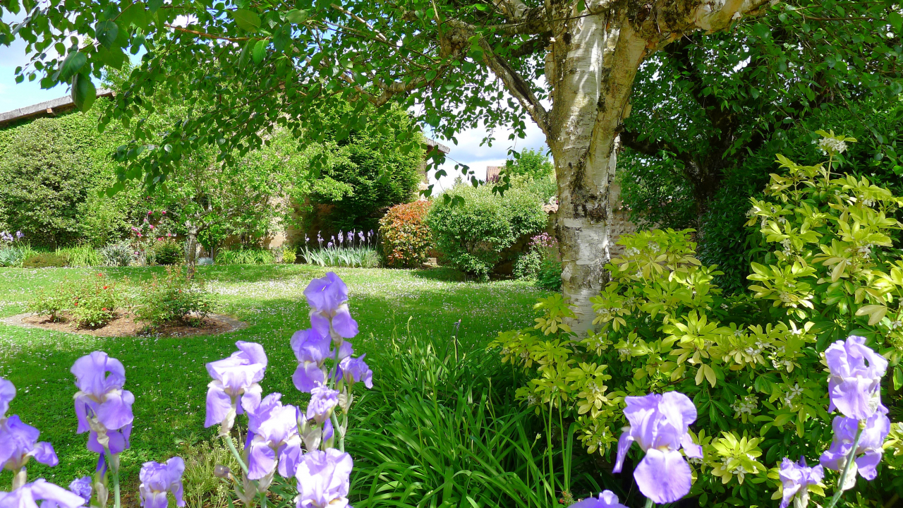 Photo Maison Brionnais - Annonce réf 1286