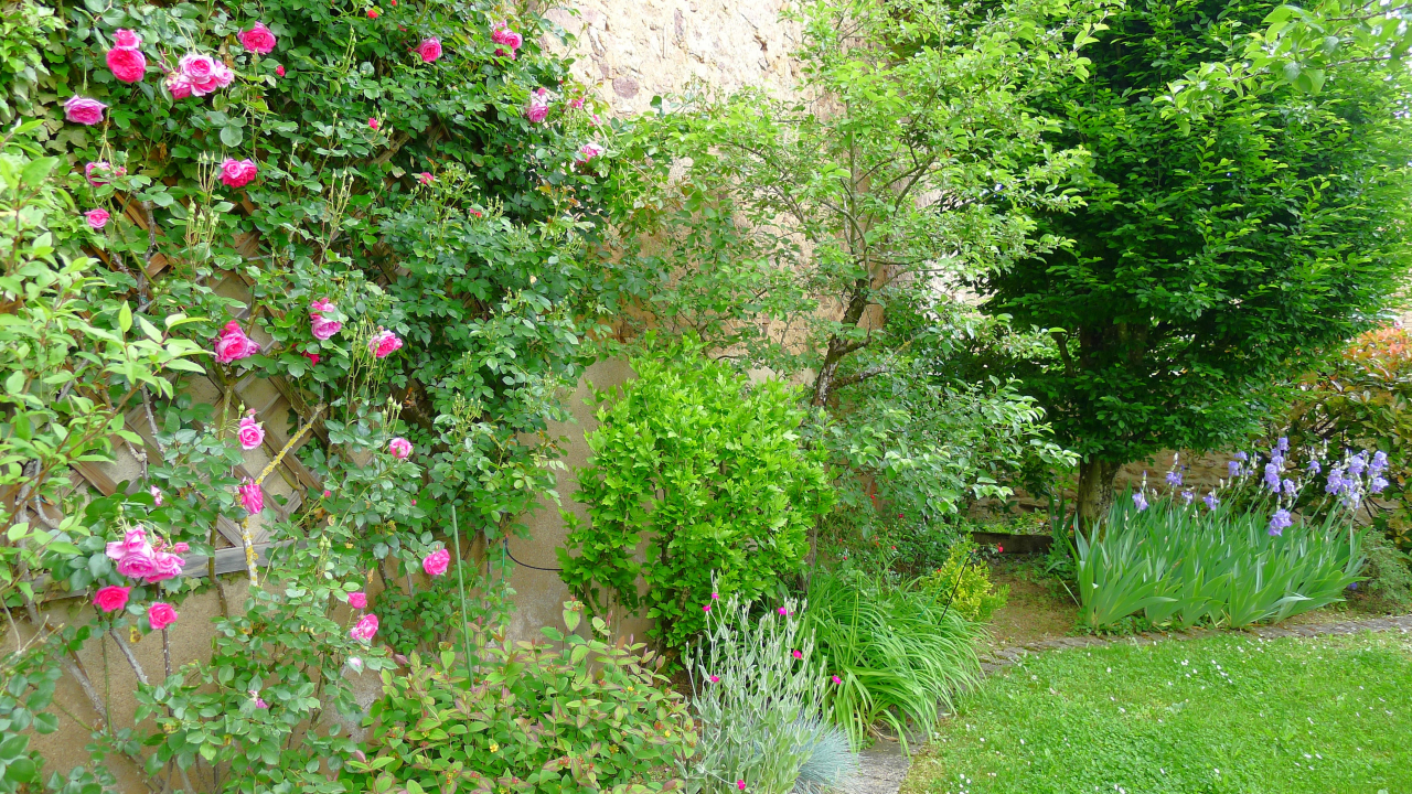 Photo Maison Brionnais - Annonce réf 1286