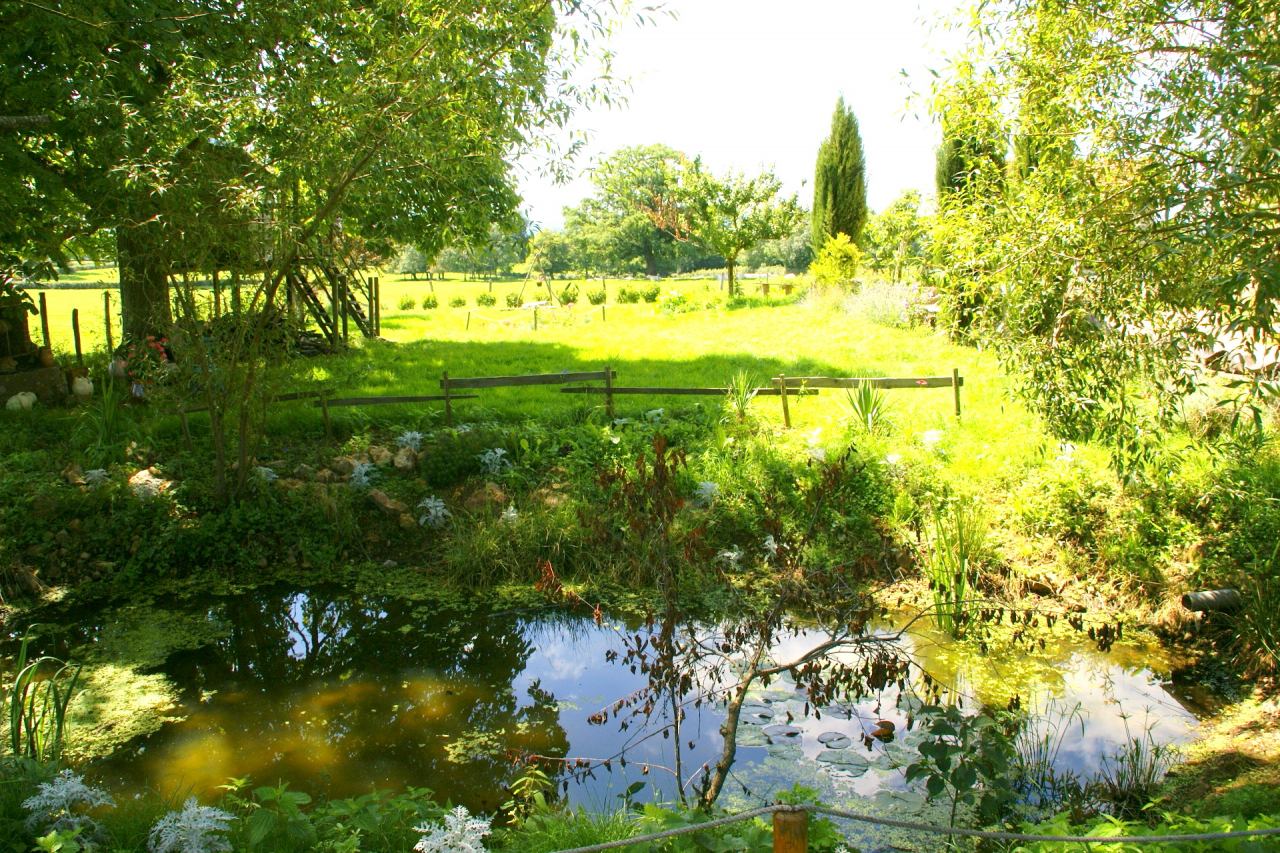 Photo Propriété Brionnais - Annonce réf 1287