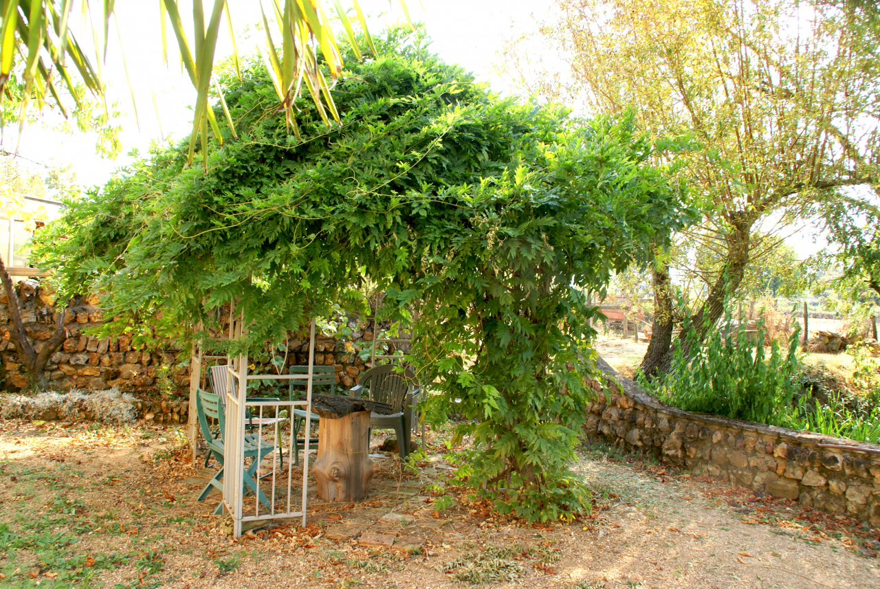 Photo Propriété Brionnais - Annonce réf 1287