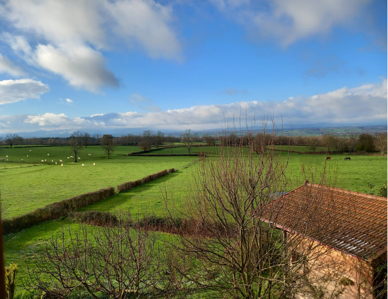 Photo Propriété Brionnais - Annonce réf 1287
