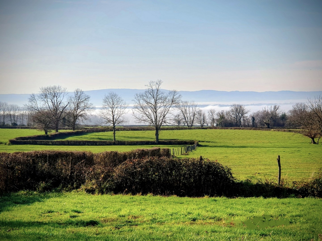 Photo Propriété Brionnais - Annonce réf 1287
