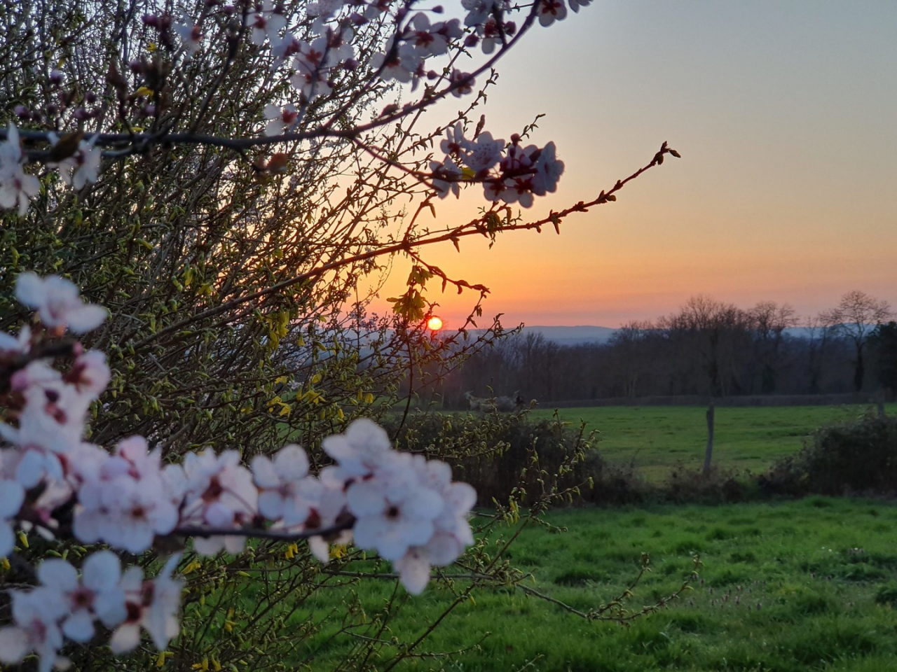 Photo Propriété Brionnais - Annonce réf 1287
