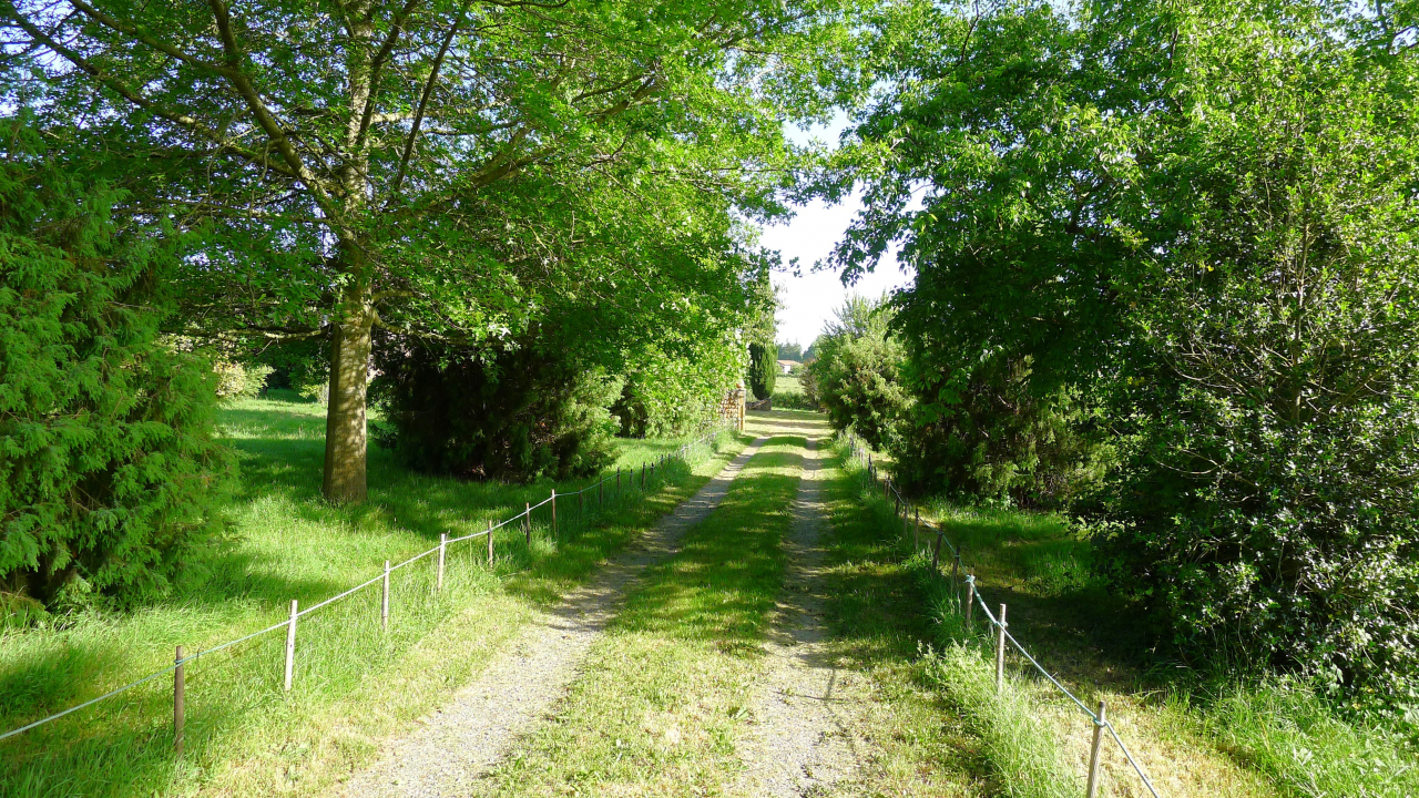 Photo Propriété Brionnais - Annonce réf 1287