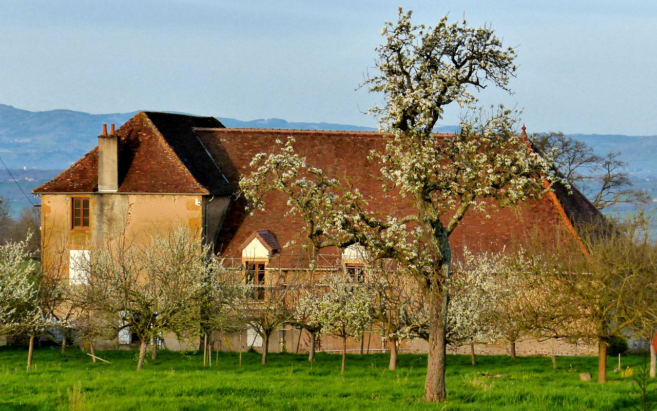 Photo Propriété Brionnais - Annonce réf 1287