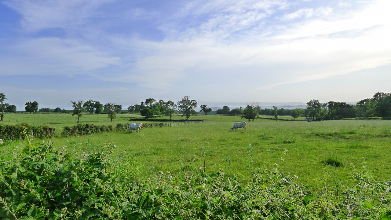 Photo Propriété Brionnais - Annonce réf 1287