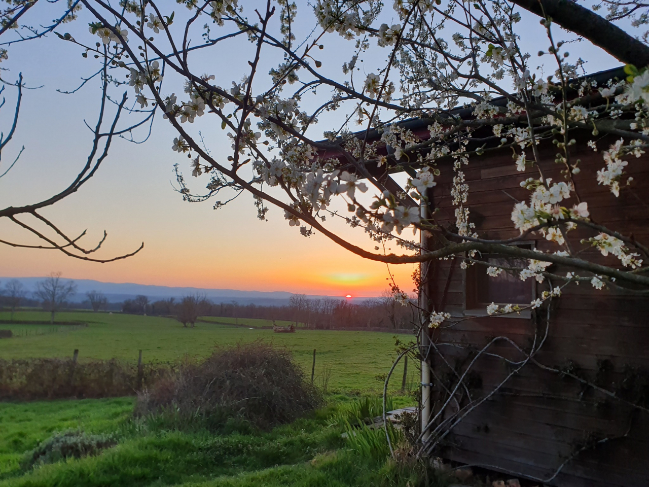 Photo Propriété Brionnais - Annonce réf 1287