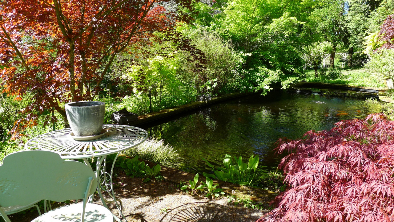 Photo Maison Brionnais - Annonce réf 1290