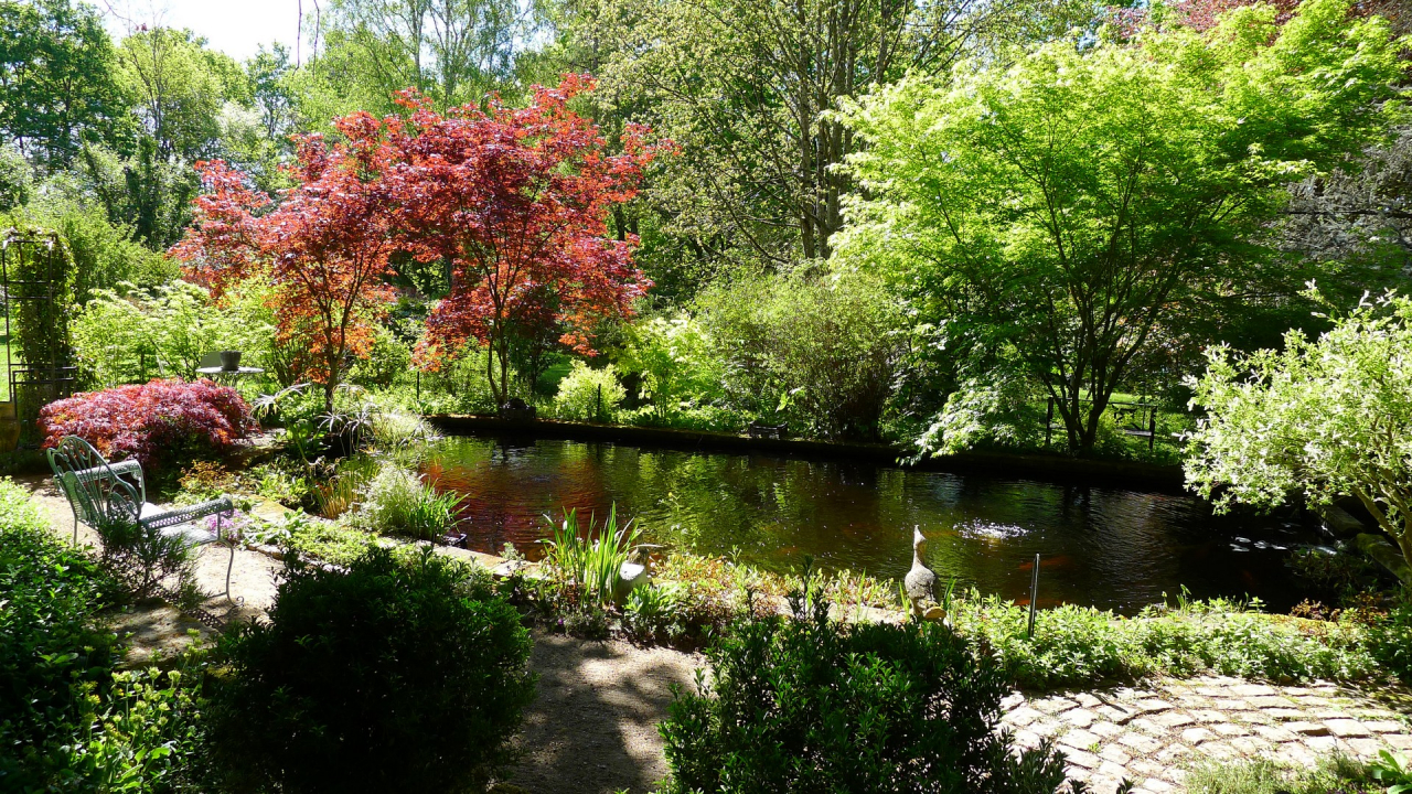 Photo Maison Brionnais - Annonce réf 1290