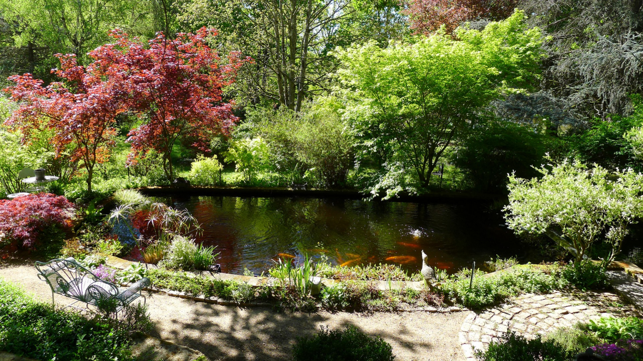 Photo Maison Brionnais - Annonce réf 1290