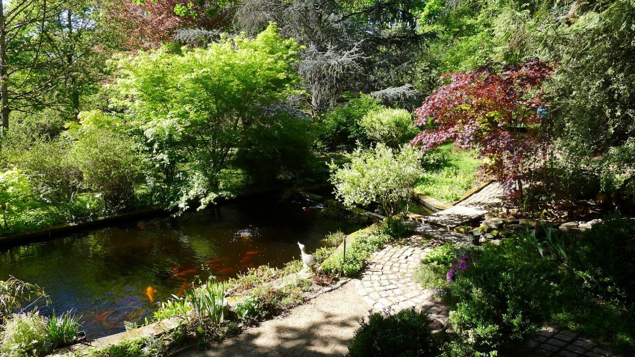 Photo Maison Brionnais - Annonce réf 1290