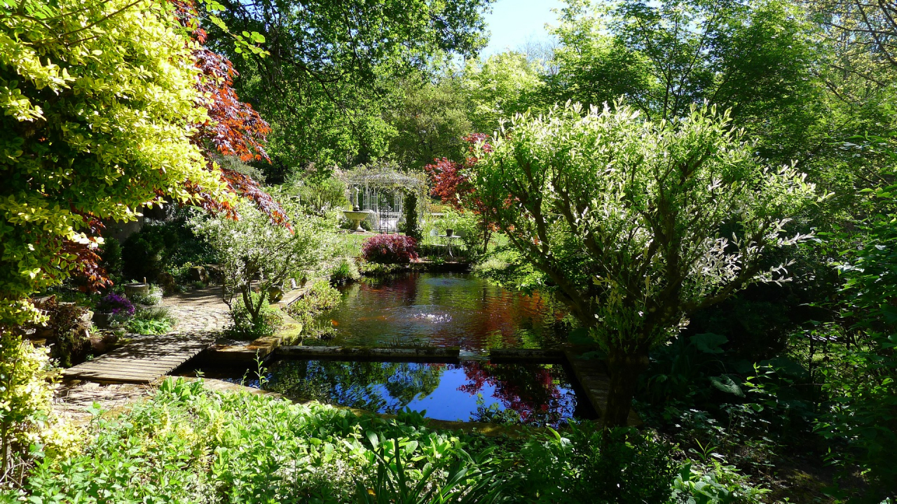 Photo Maison Brionnais - Annonce réf 1290