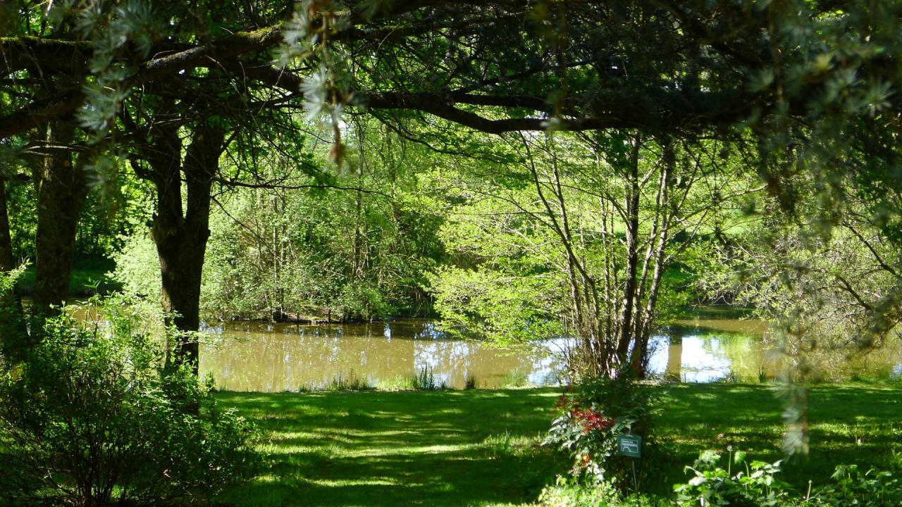 Photo Maison Brionnais - Annonce réf 1290