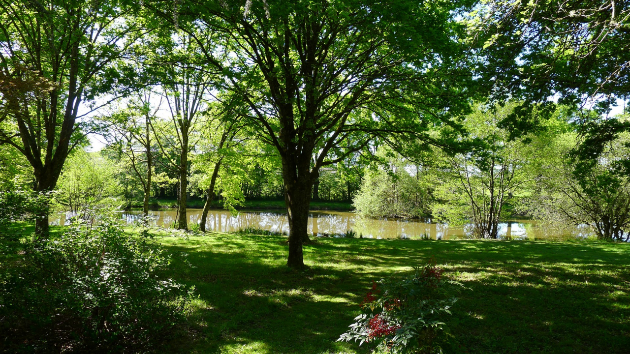 Photo Maison Brionnais - Annonce réf 1290