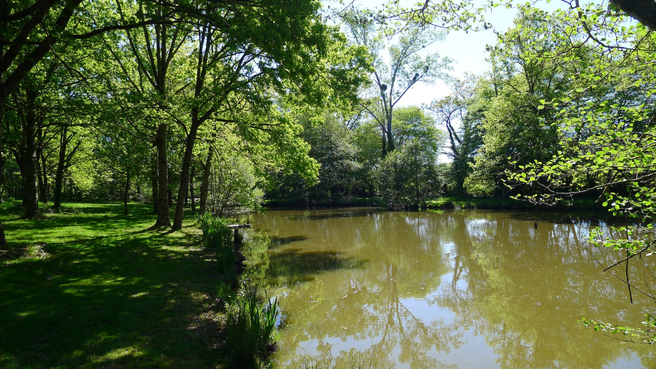 Photo Maison Brionnais - Annonce réf 1290