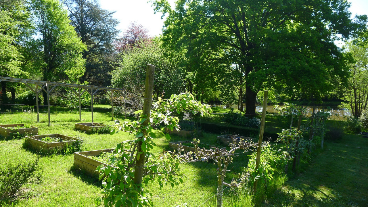 Photo Maison Brionnais - Annonce réf 1290