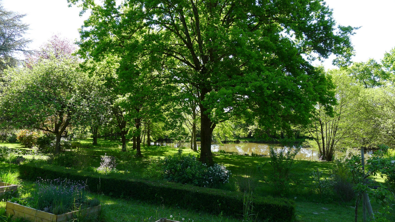 Photo Maison Brionnais - Annonce réf 1290