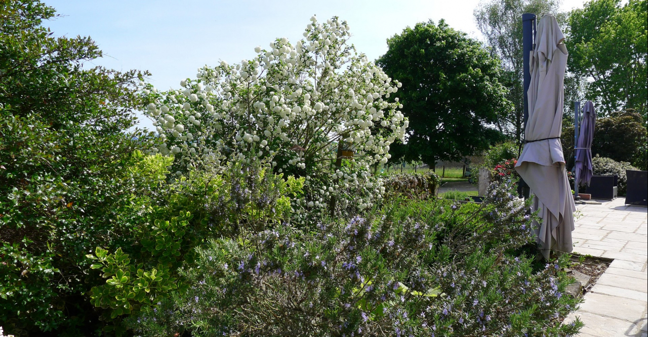 Photo Maison Brionnais - Annonce réf 1291