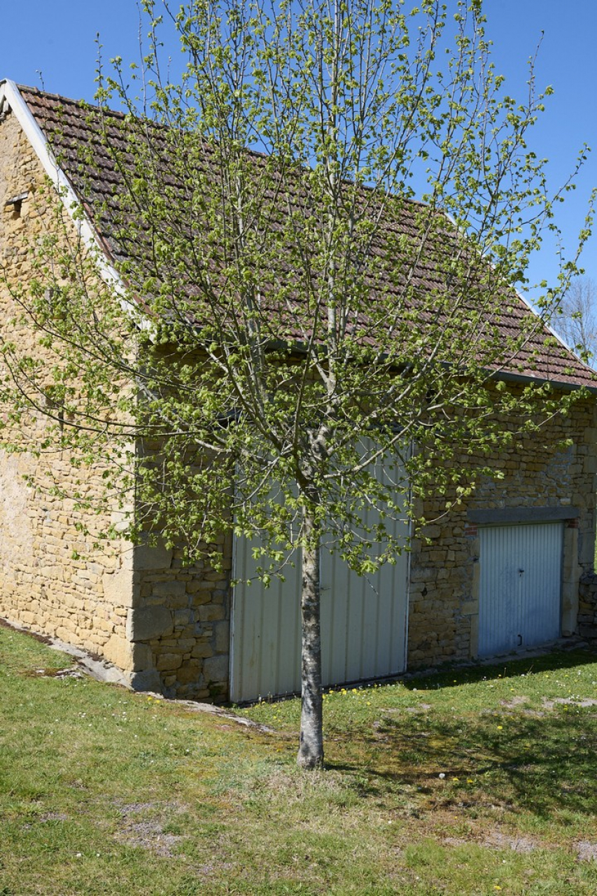 Photo Maison Brionnais - Annonce réf 1292