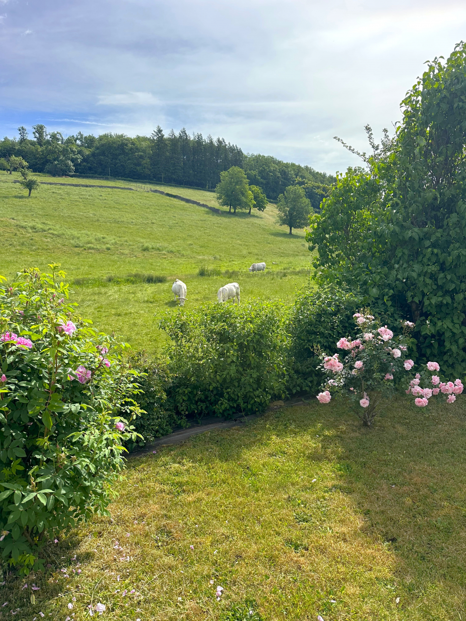 Photo Maison Brionnais - Annonce réf 1292