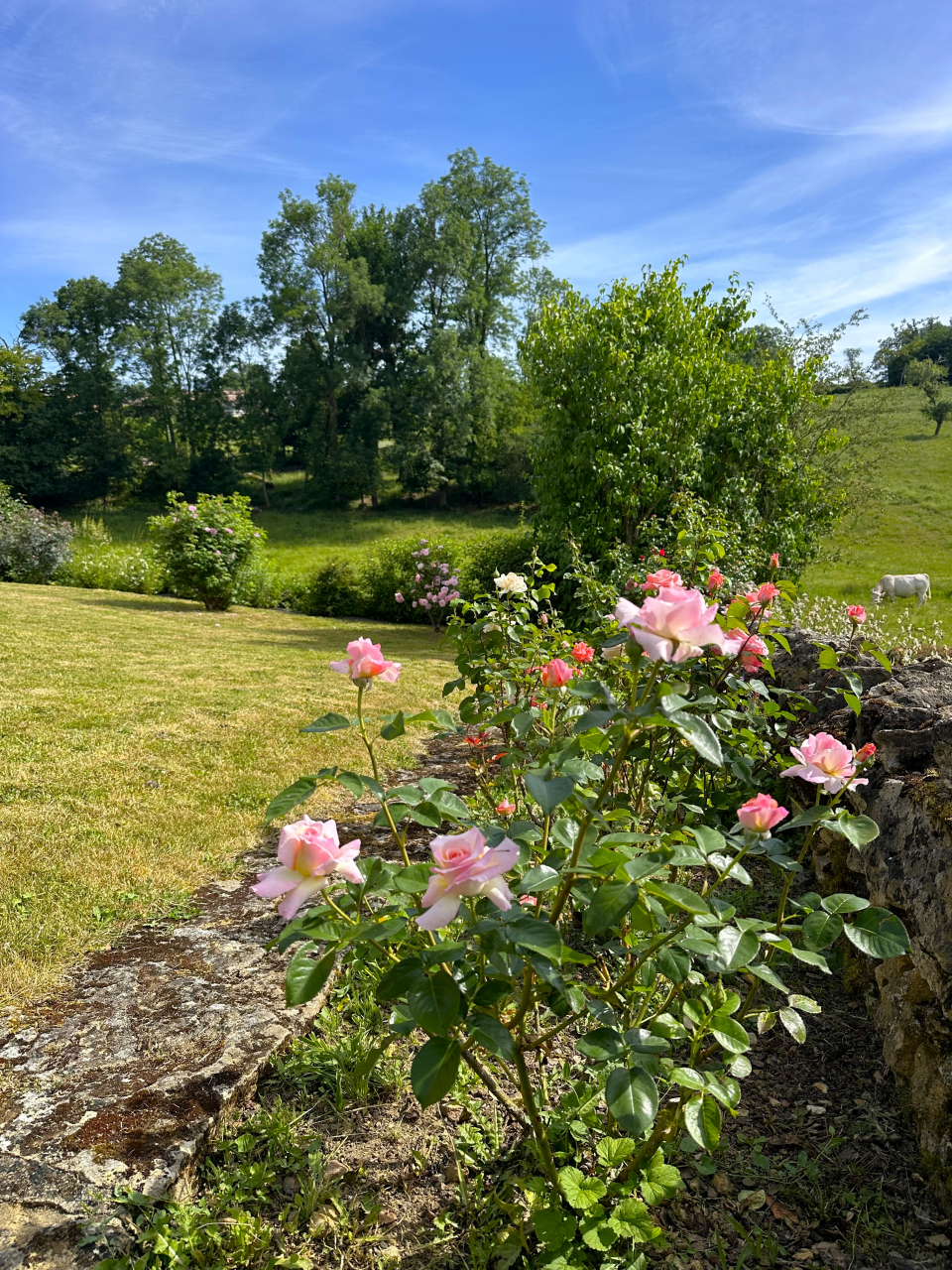 Photo Maison Brionnais - Annonce réf 1292