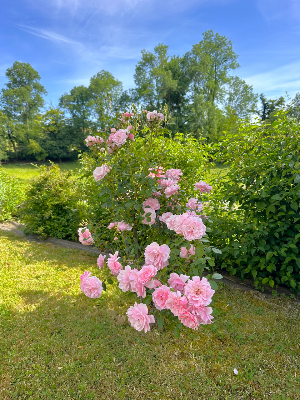 Photo Maison Brionnais - Annonce réf 1292