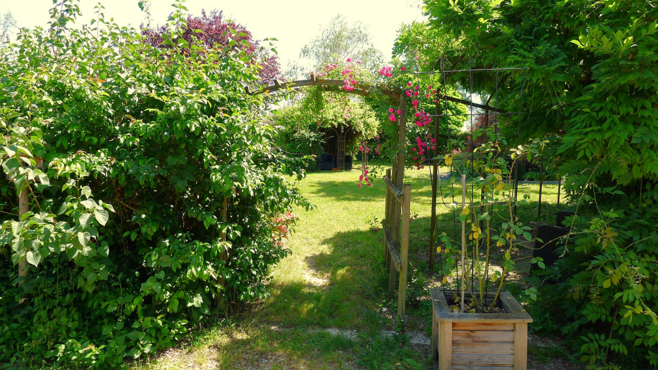 Photo Maison Brionnais - Annonce réf 1293