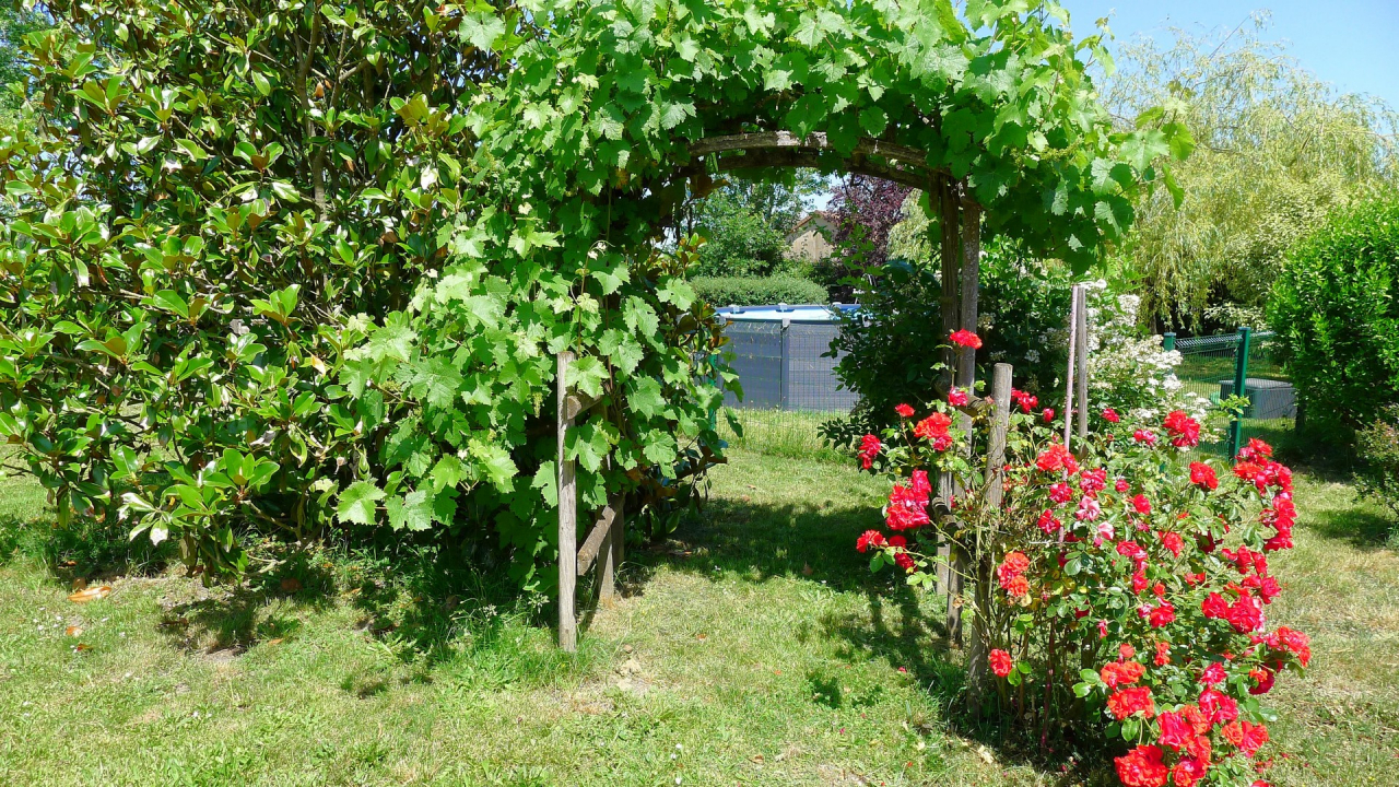 Photo Maison Brionnais - Annonce réf 1293