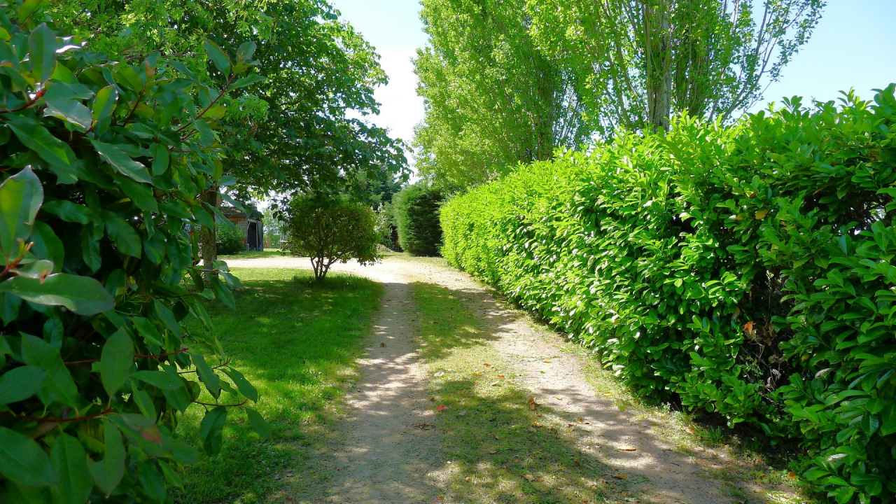 Photo Maison Brionnais - Annonce réf 1293