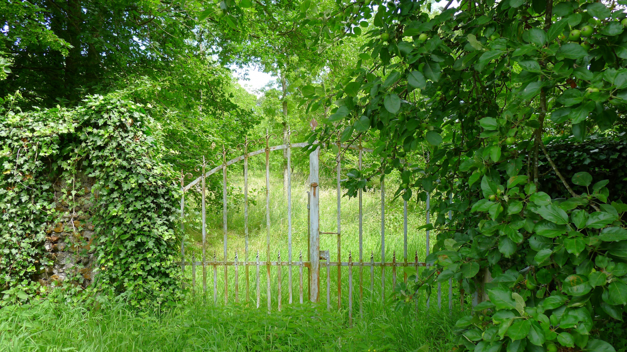 Photo Maison Brionnais - Annonce réf 1294