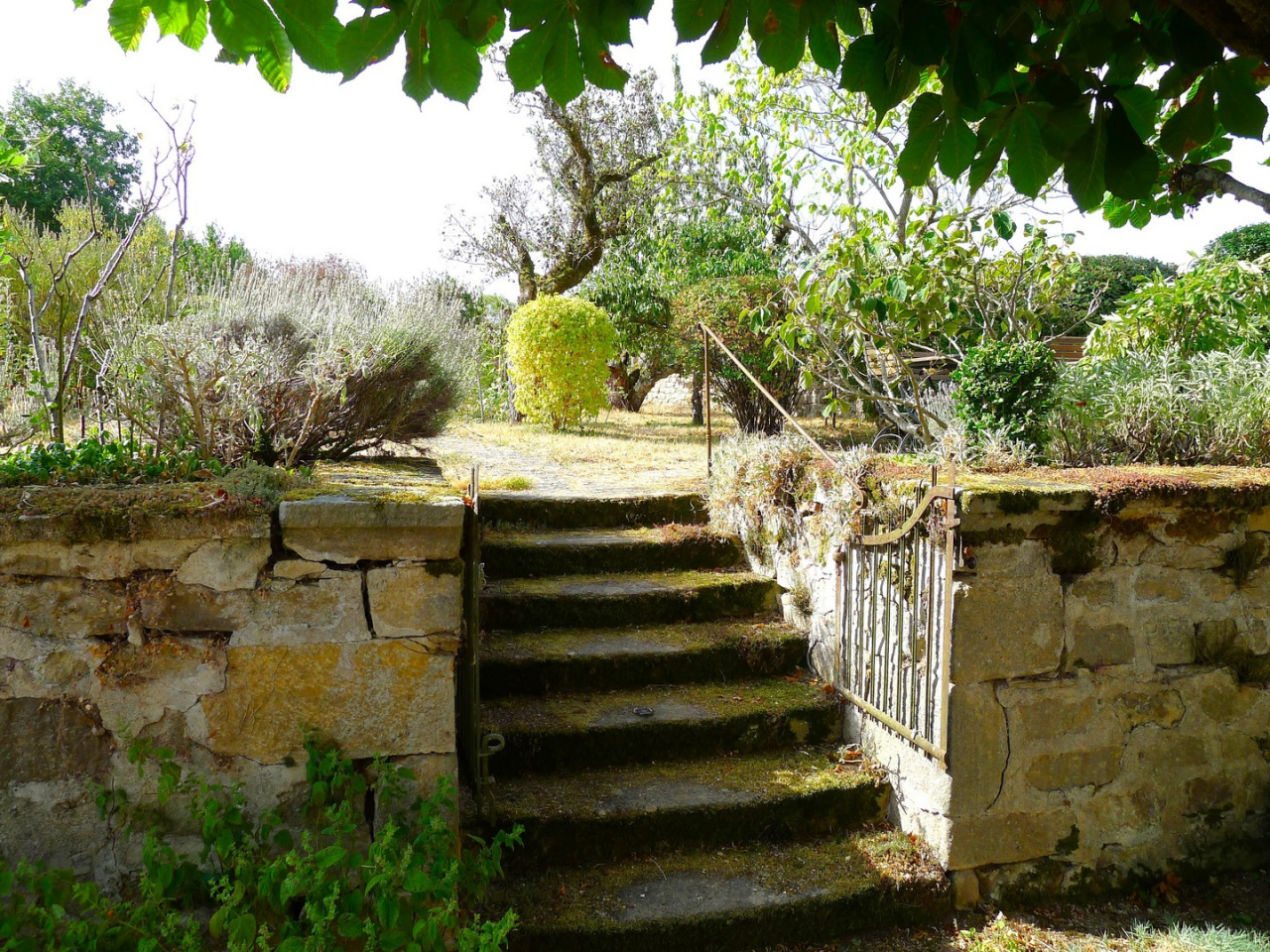 Photo Maison Brionnais - Annonce réf 1297