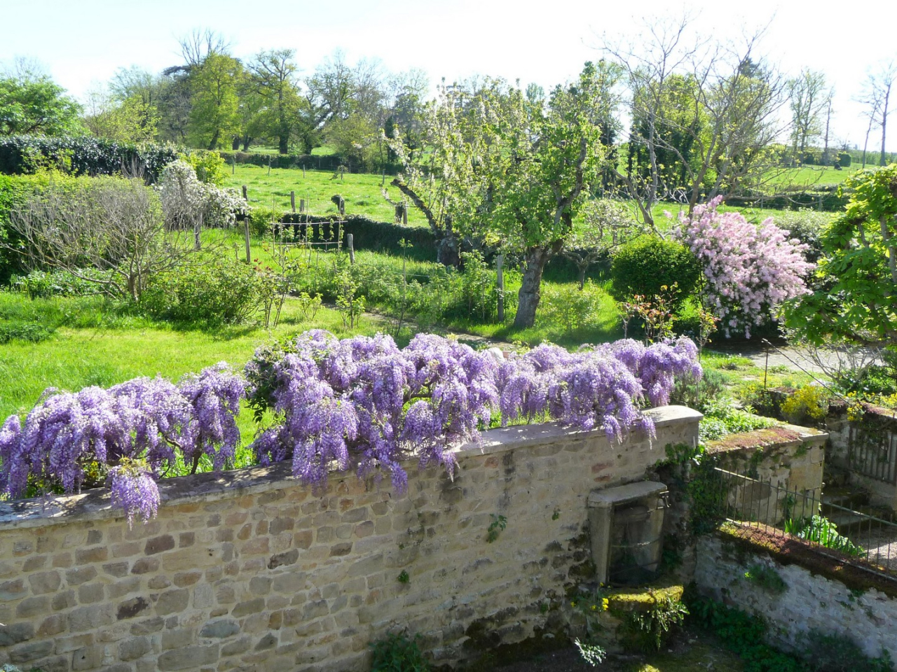 Photo Maison Brionnais - Annonce réf 1297