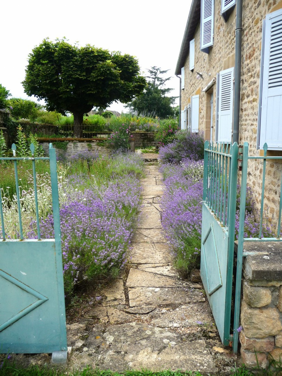 Photo Maison Brionnais - Annonce réf 1297