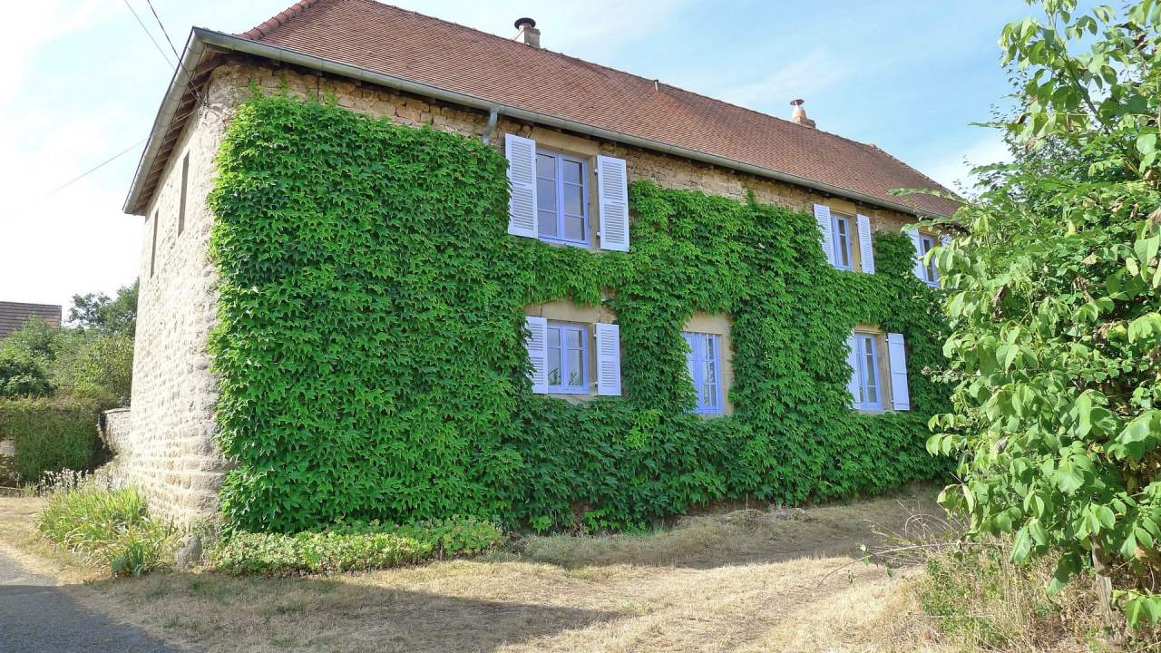 Photo Maison Brionnais - Annonce réf 1297