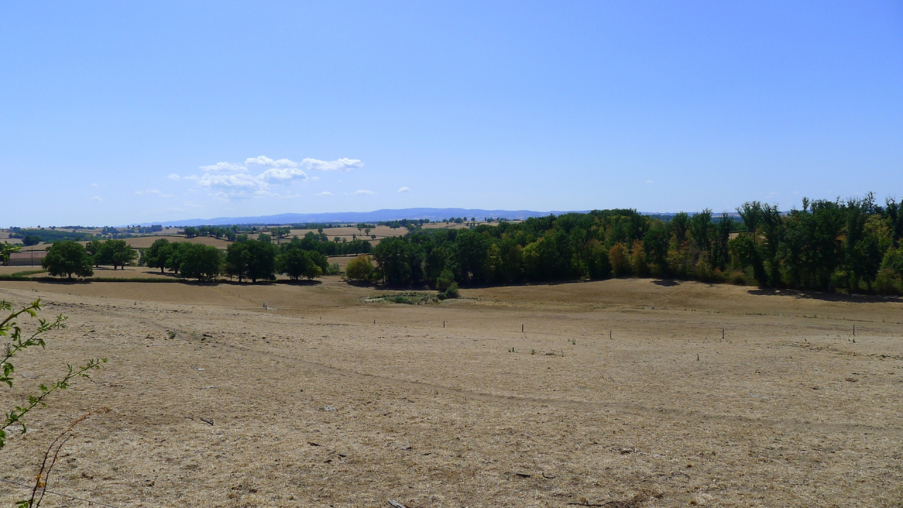 Photo Maison Brionnais - Annonce réf 1298