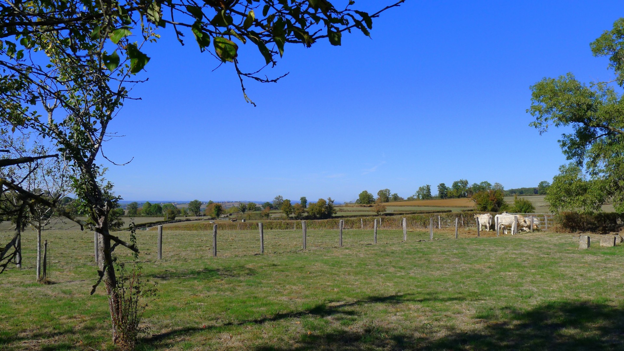 Photo Maison Brionnais - Annonce réf 1302