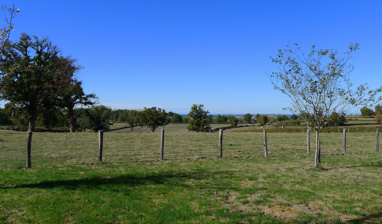 Photo Maison Brionnais - Annonce réf 1302