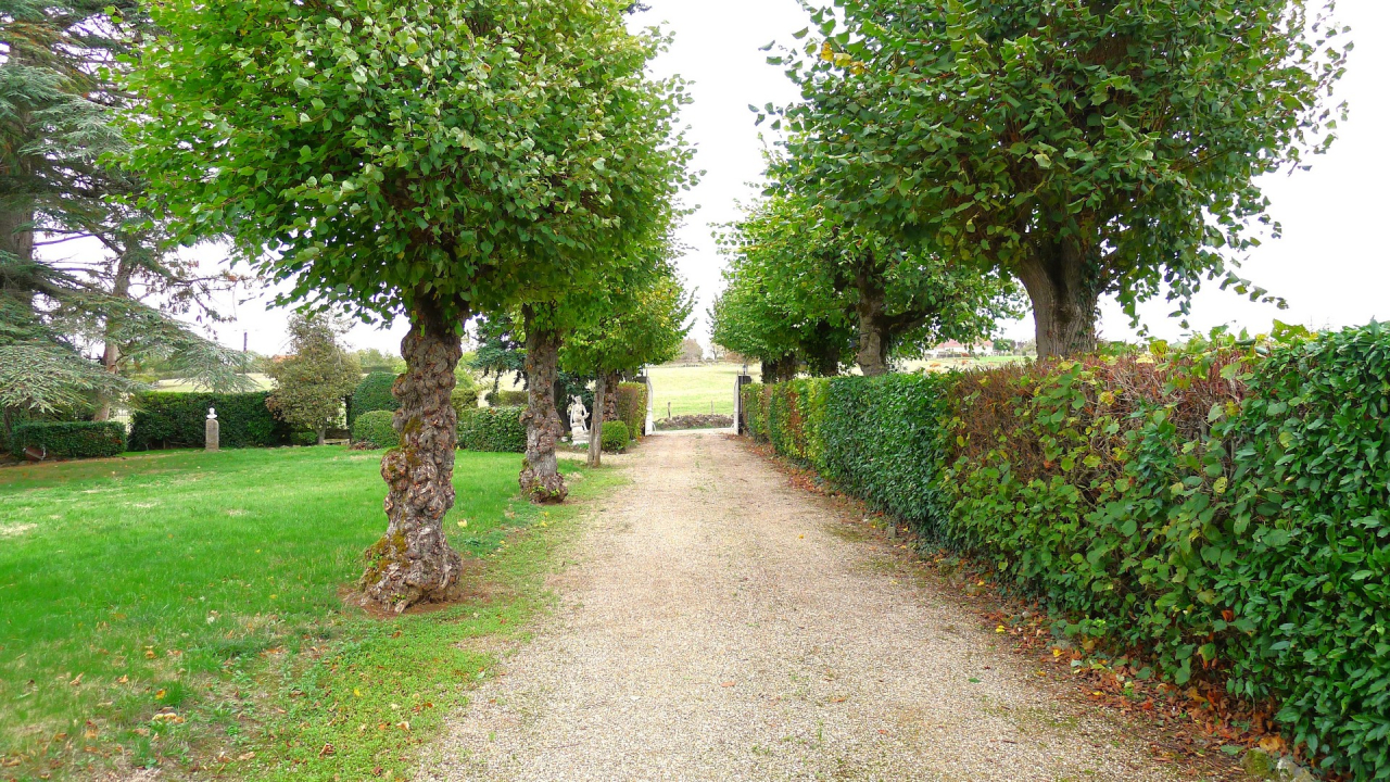 Photo Maison Brionnais - Annonce réf 1303
