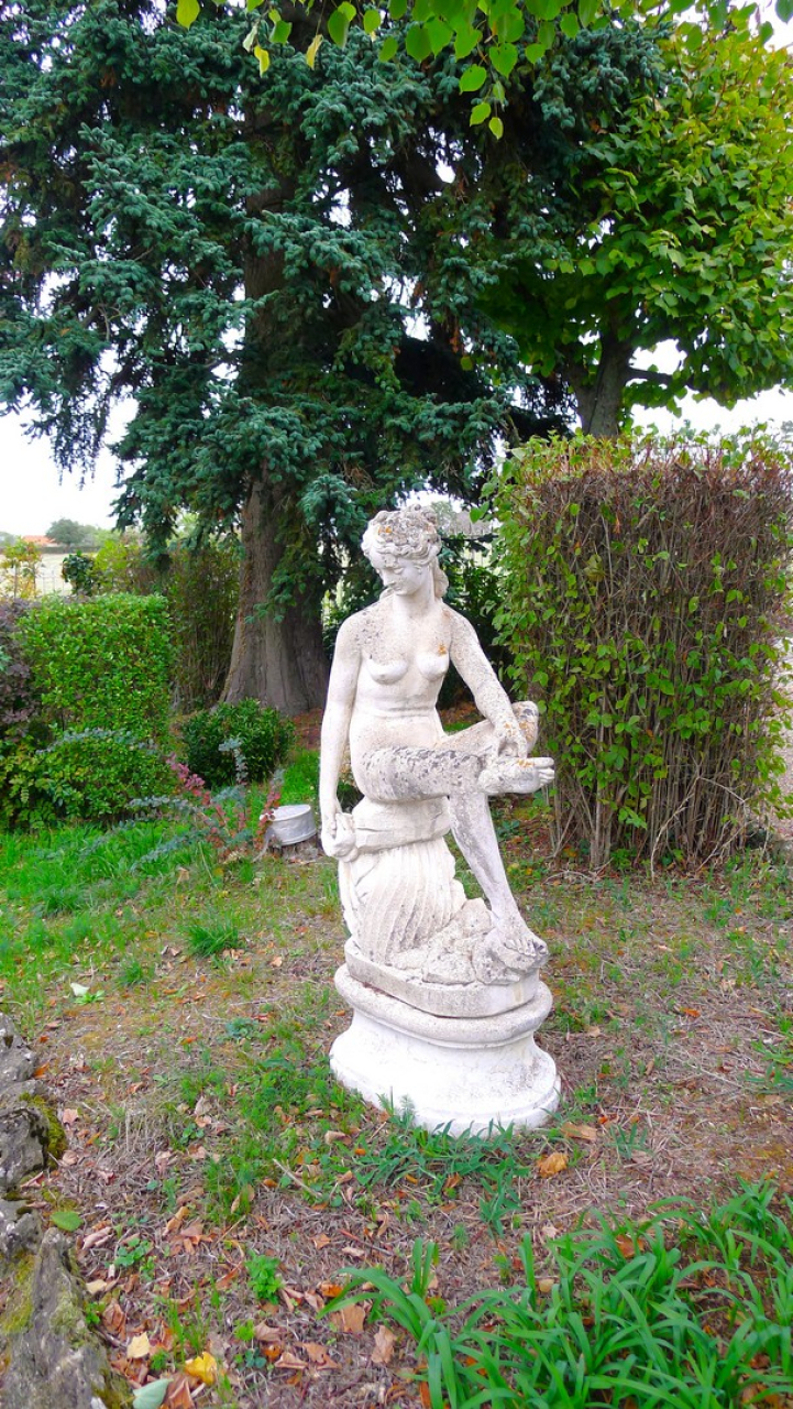 Photo Maison Brionnais - Annonce réf 1303