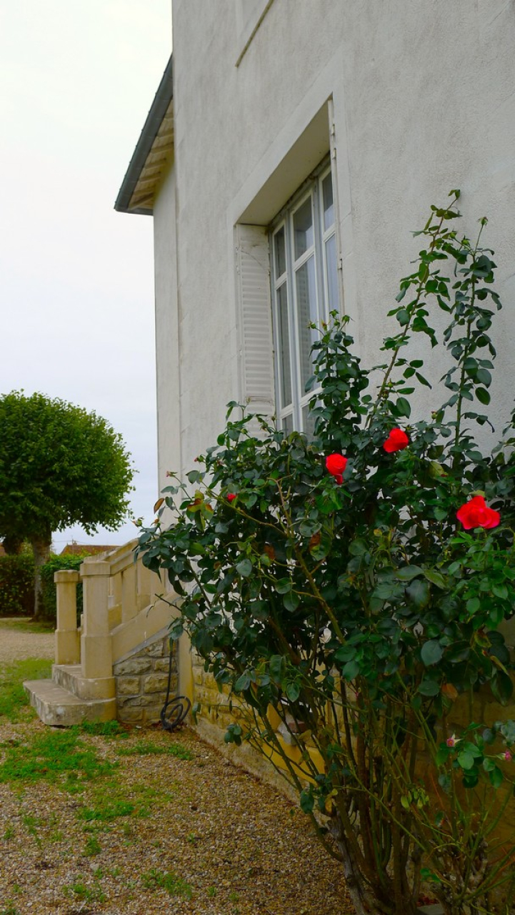 Photo Maison Brionnais - Annonce réf 1303
