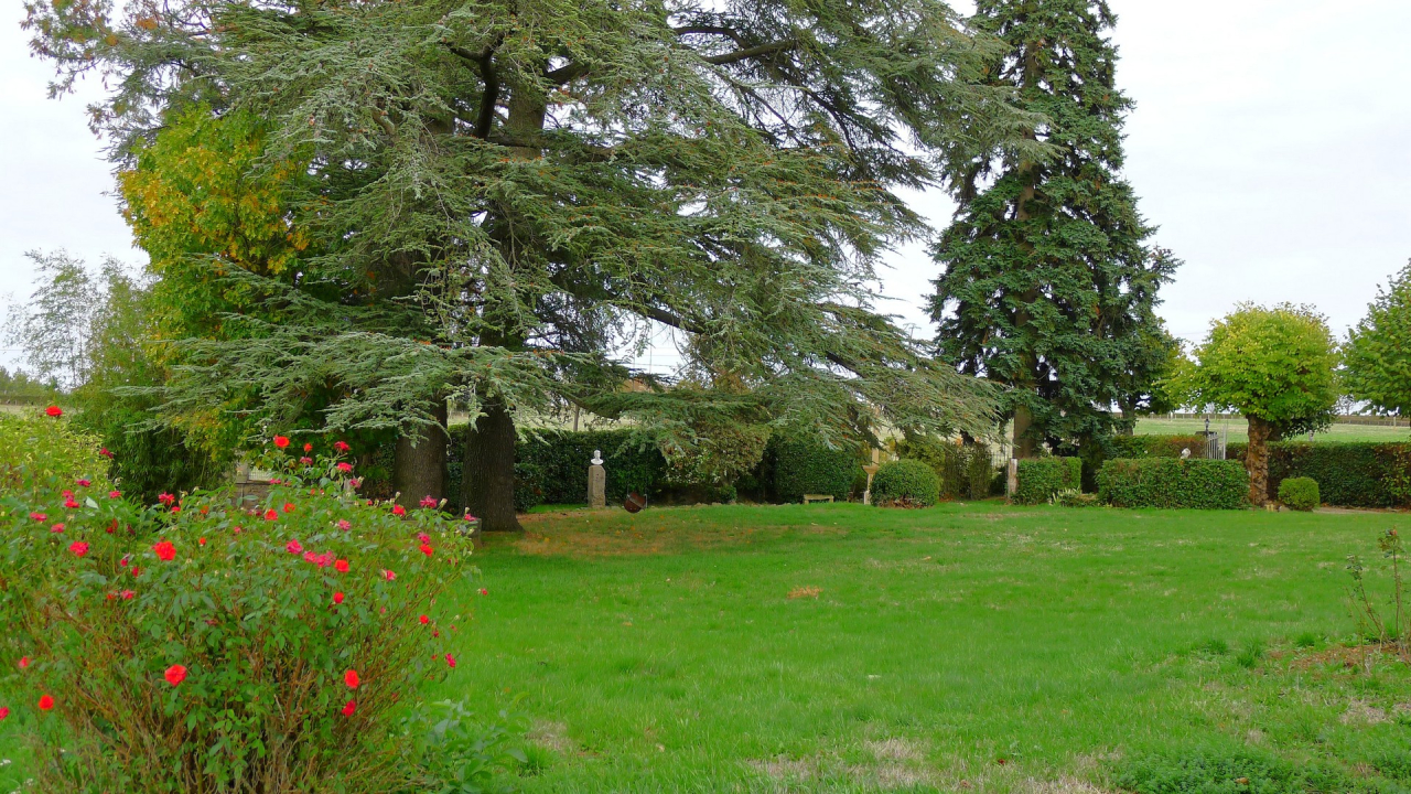 Photo Maison Brionnais - Annonce réf 1303